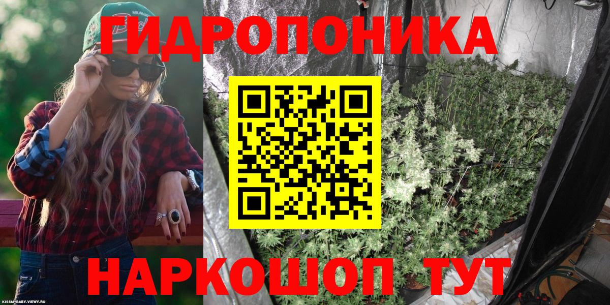 Каннабис планчик  Марихуана гибрид  Сосновый Бор  Вход с VPN  Бошки Шишки THC 21%  Шишки марихуана тримм 